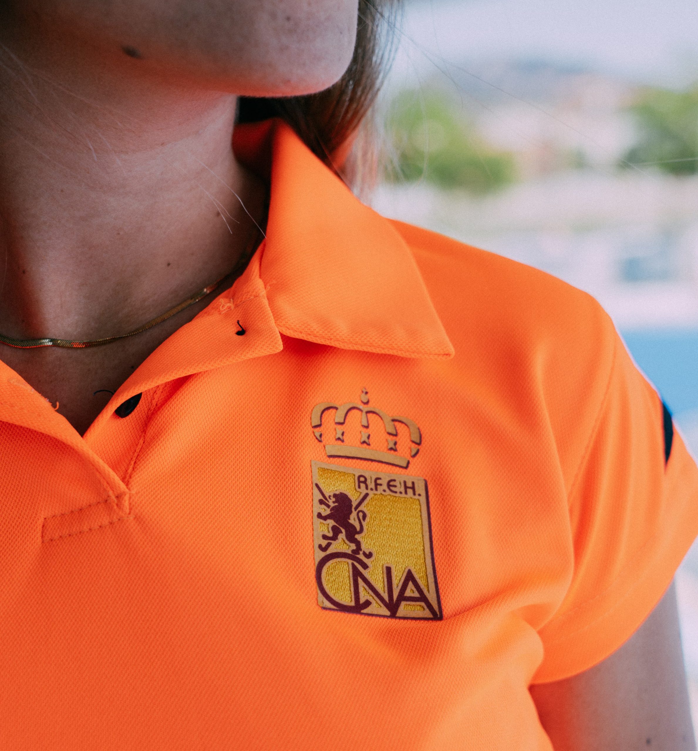 Detalle Escudo CNA Detalle Escudo CNA